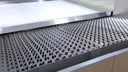 Hicas Woodworking Industry Automatic CNC Wood Spray Painting Machine 